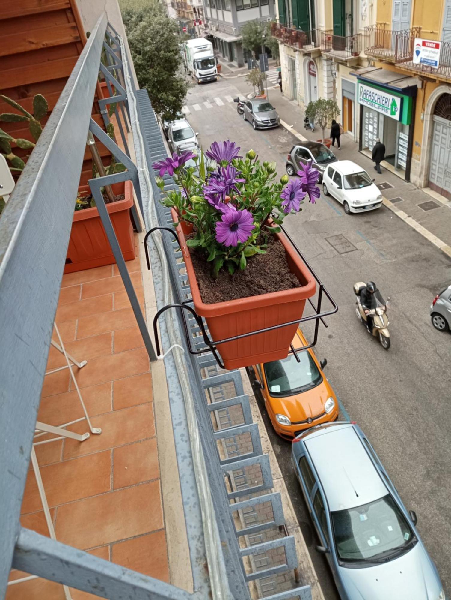 Kaktus B&B Bari Exterior photo
